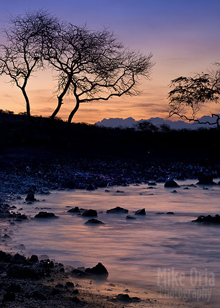 Morning at La Perouse Bay