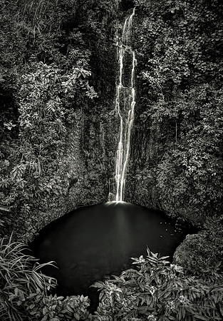 The Secret Pool