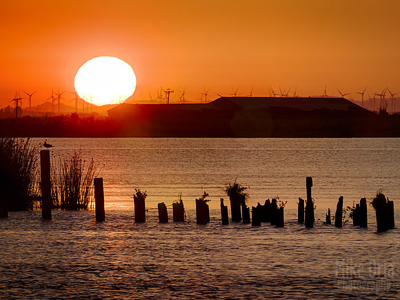 Sunset & Pilings