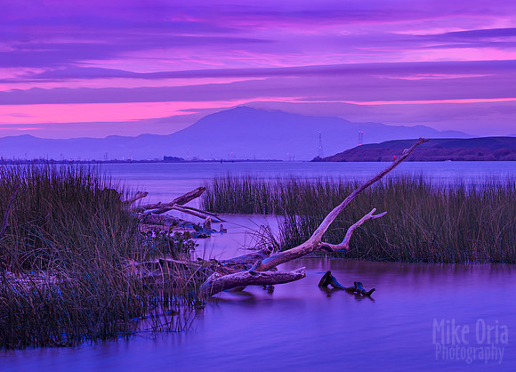 Duck Island