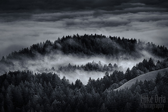 Misty Mountain Hop