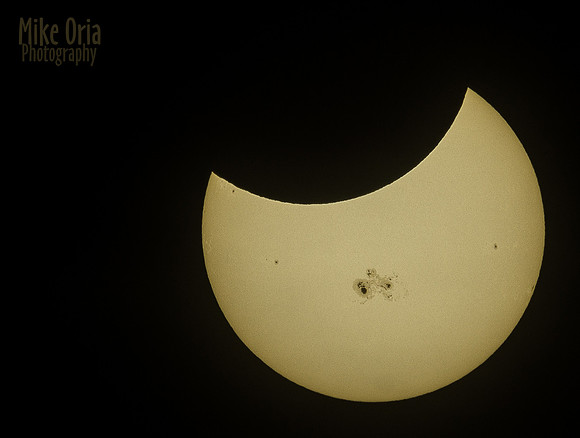 Sun Spots