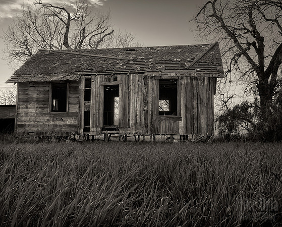 Old Shack II