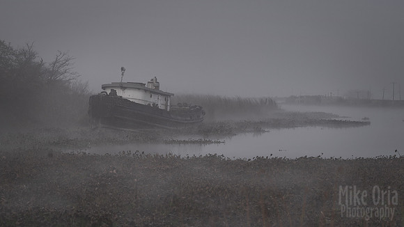 Tug in Fog