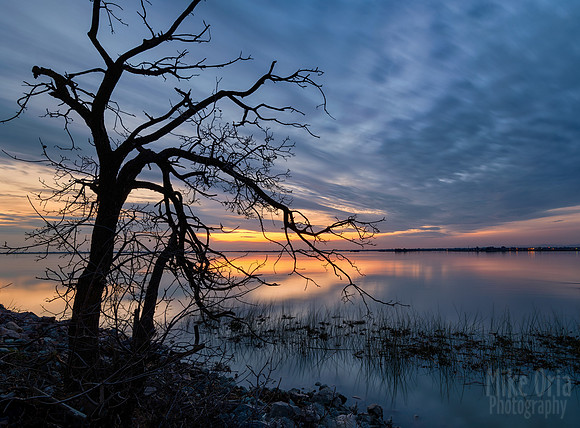 Winter's Dawn