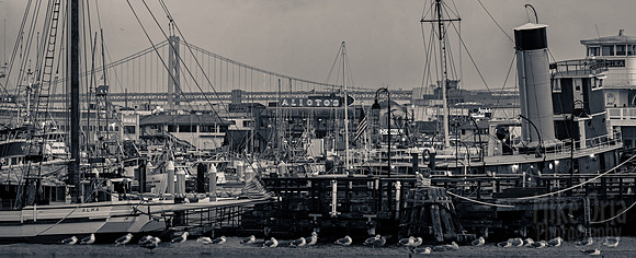 Fisherman's Wharf