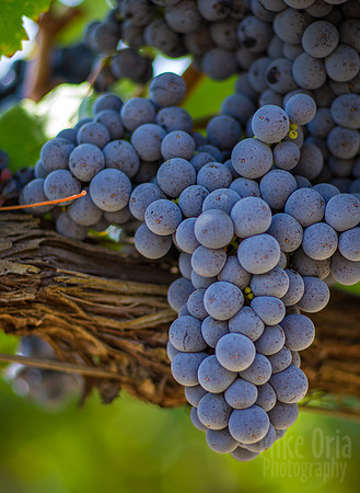 Clusters III