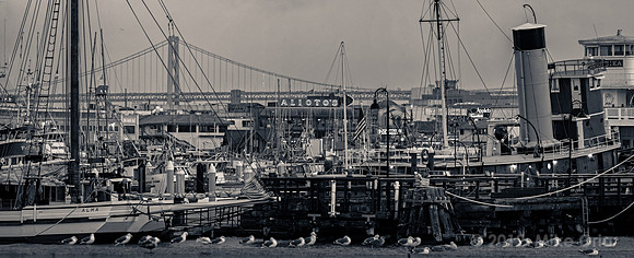 Fisherman's Wharf