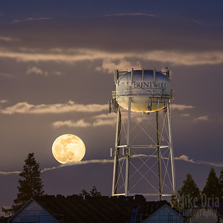 Brentwood Moonrise