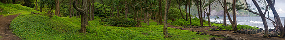 Waipi'o Valley panorama
