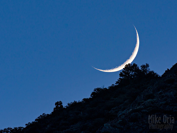 Balance Moon
