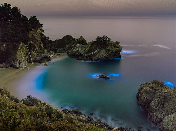 Bioluminescent Algae at McWay Falls