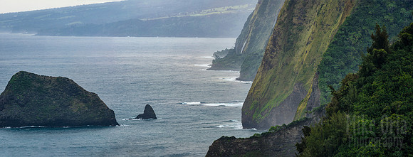 Kohala Sea Cliffs