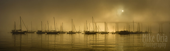 Coronado's Gold