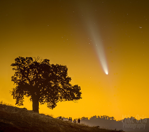 Night Of The Comet