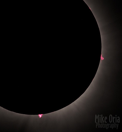 Solar Prominences