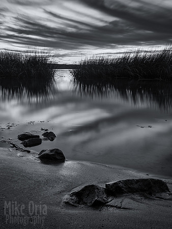 River Bank (BW)