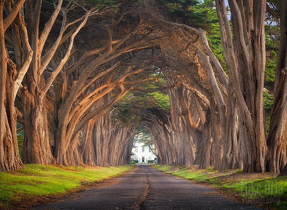 Road To Hobbiton
