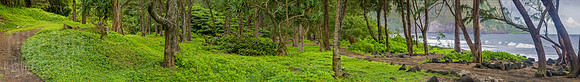 Waipi'o 2016 pano