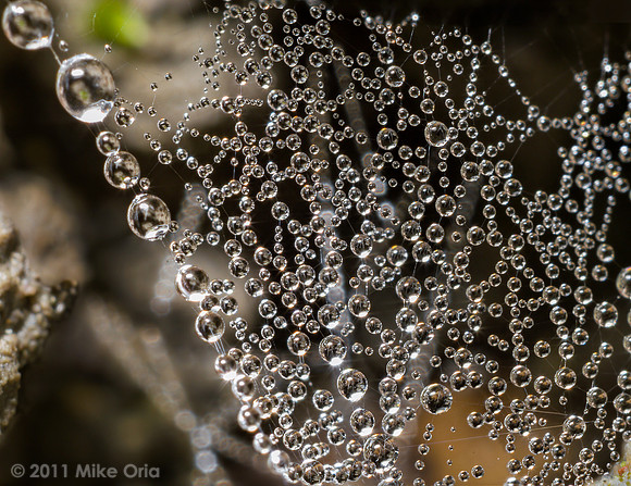Water Curtain