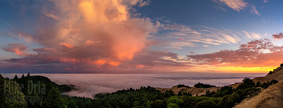 Marin Sunset