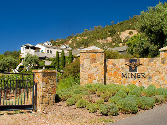 Miner Family Vineyards